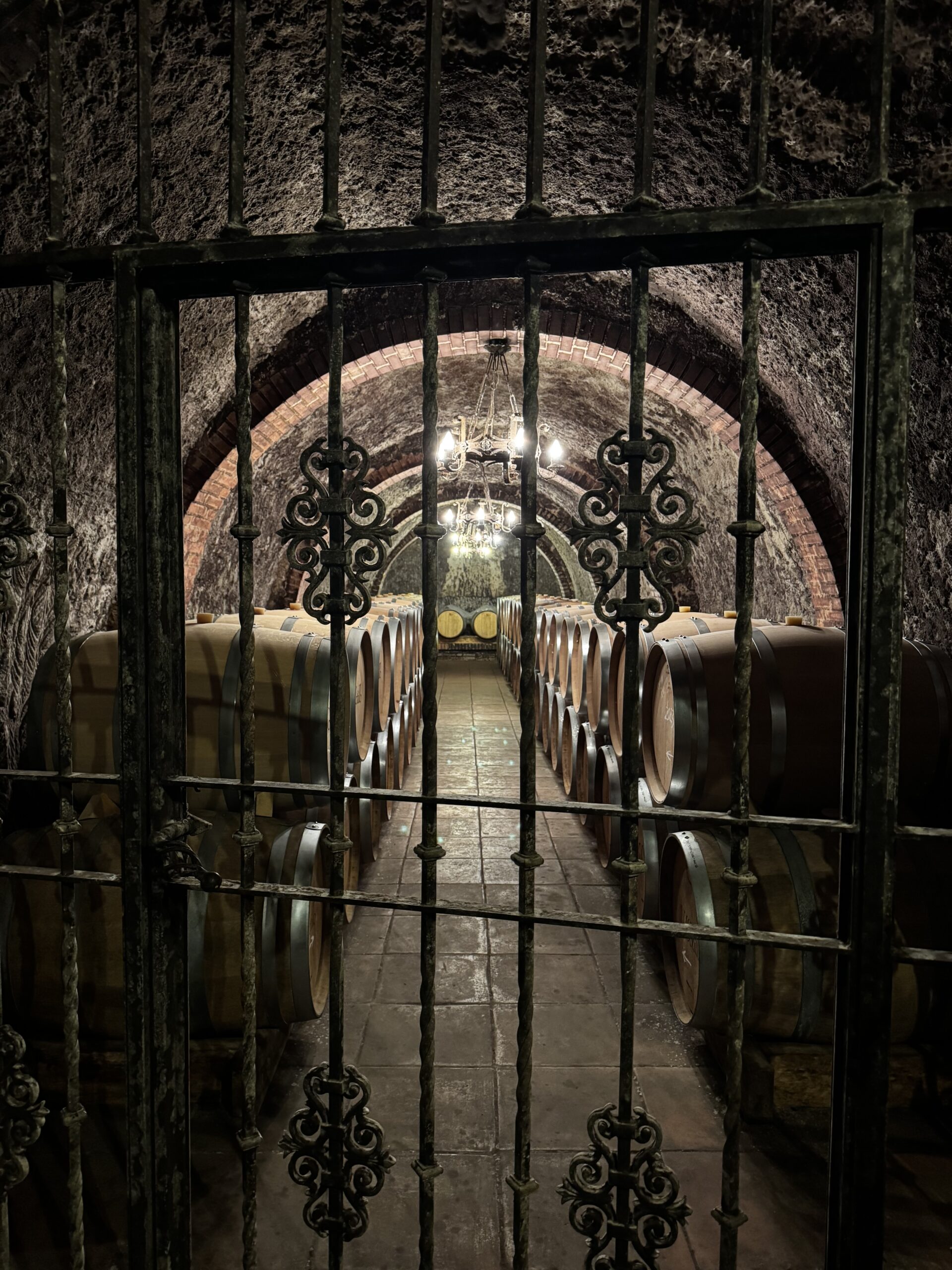 Valiente Vino Reserva